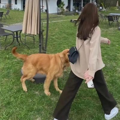 圣诗