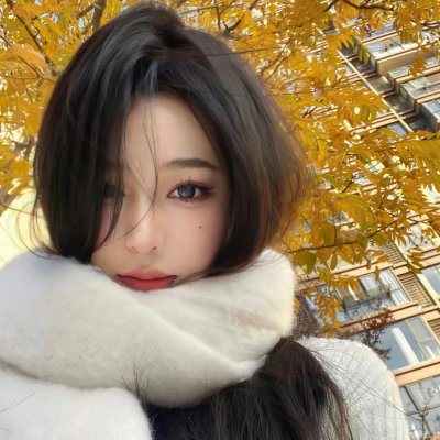 寻找特洛伊